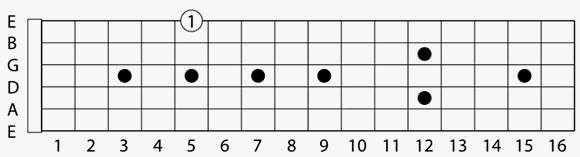 Fret Board Numbers 5th Fret