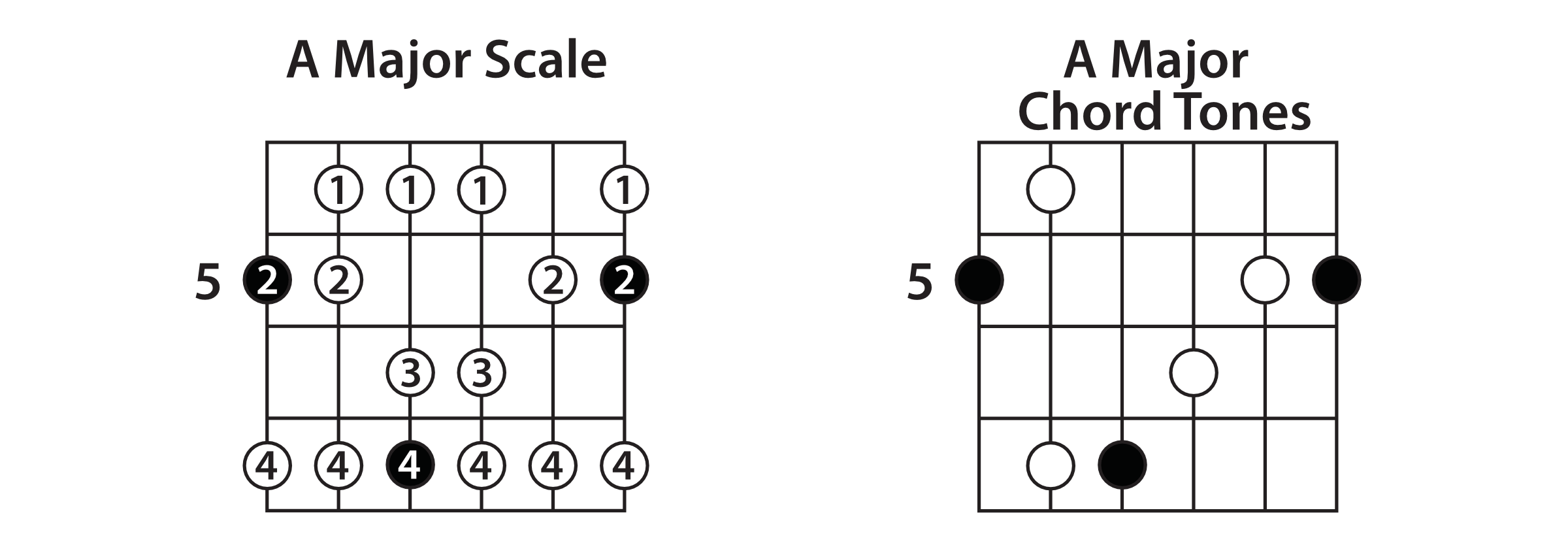 chord scale generator 1.3