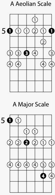 What Scale Am I Playing R Bass